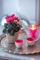 Pink cyclamen plant and candles on silver tray 