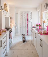 Pet dog in white and pink modern kitchen 