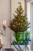 Small Christmas tree in vintage green pot surrounded by tealight candles 