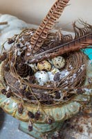 Metal vintage urn with birds nest, feathers and eggs as decoration 