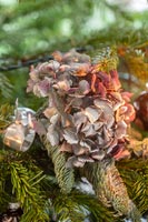 Dried Hydrangea flowers as Christmas tree decoration 
