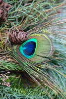 Peacock feather on Christmas wreath - detail 