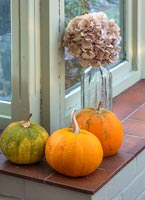 Windowsill with pumpkins and glass vase of dried hydrangea flowers 