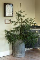 Christmas tree in galvanised metal dustbin 