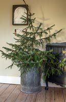 Christmas tree in galvanised metal dustbin 
