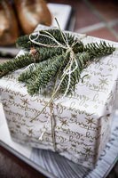 Sprig from pine tree as decoration on Christmas gifts 