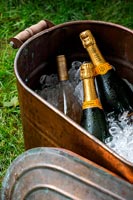 Champagne bottles in a bucket of ice