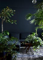 Black living room with green houseplants 
