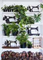 Green houseplants on white bookcase with vintage sewing machines 