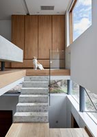 Pet dog at top of concrete steps to mezzanine bedroom 