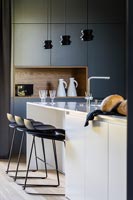 Contemporary monochrome kitchen 