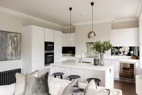 Open plan living room and kitchen