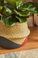 Detail of patterned basket plant pot
