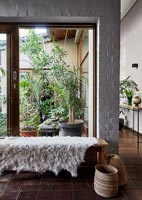 Sheepskin rug on wooden bench seat with indoor garden filled with plants 