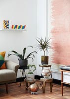 Houseplants in modern living room 