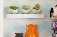 Succulents on tiny shelf within a bookcase 
