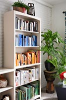 Bookcase and houseplants 
