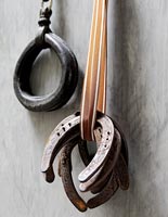 Collection of horseshoes 