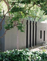 Contemporary courtyard garden 