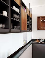 Contemporary kitchen units 