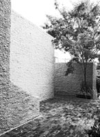 Black and white image of courtyard garden 