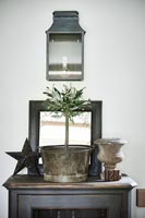 Rustic house plant on cabinet