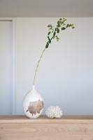 Stem and foliage of plant in ceramic vase 