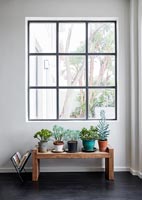 Modern window with pot plants