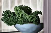 Close up kale in bowl 