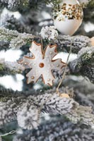 Christmas decorations on tree 