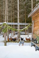 Chicken coop in the snow 