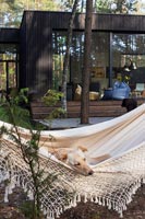 Dog in hammock