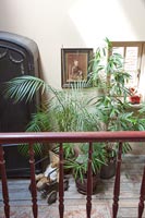 Classic hallway with plants 
