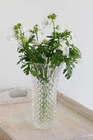 Country flowers in vase 