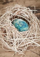 Ornamental eggs in nests 