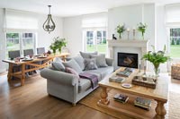 Classic grey living room