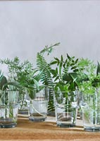 Leaves and foliage in small glasses used as vases on shelf 