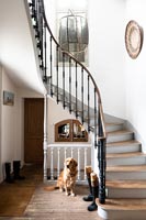 Pet dog in country hallway next to staircase 