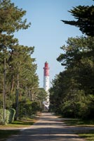 View along path to lighthouse 