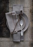 Plates and napkins on rustic table - in muted tones 