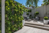 Topiary in minimal courtyard garden 