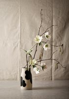 Cut flowers and tree stems in vase 