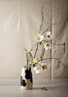 Cut flowers and tree stems in vase 