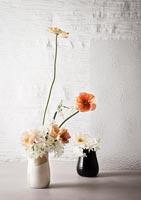 Cut flowers in vase 