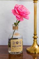 Single pink rose in old bottle 