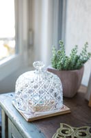 Crystal dome - cake cover