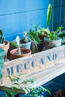 Wooden box filled with small potted plants 