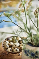Country flower display and bird eggs 