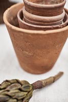 Terracotta garden pots  