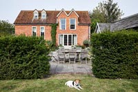 Pet dog lying in garden of country house 